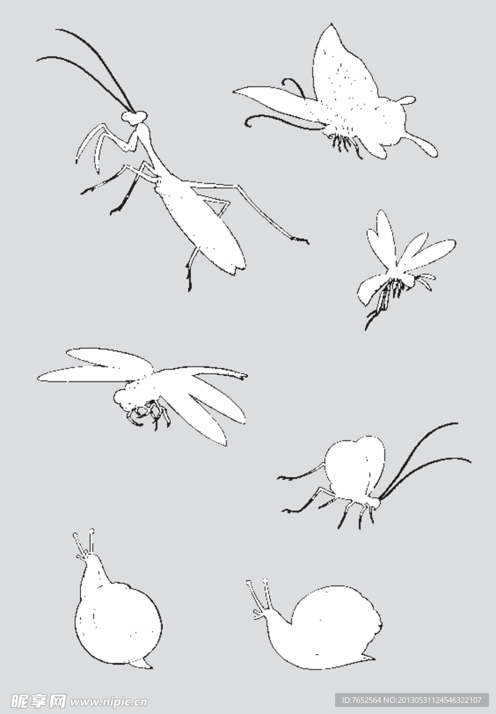 花纹