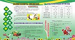 绿色展板