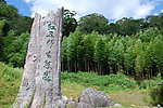红豆杉生态园