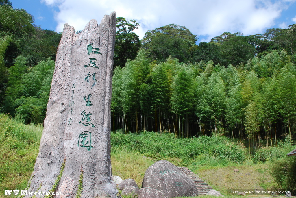 红豆杉生态园