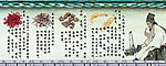 中草药展板