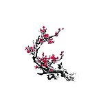 梅花