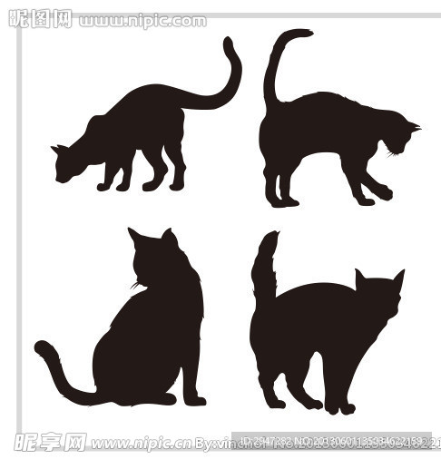 黑猫