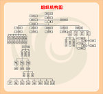 组织结构图