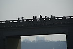 玄武湖公园