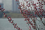 玄武湖公园