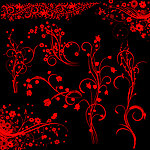 花纹