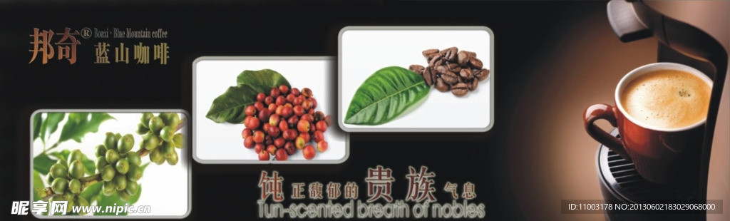 邦奇蓝山咖啡