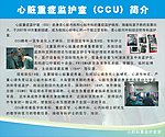 心脏科简介