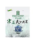 宋茗白茶