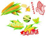 玉米