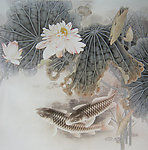 荷花鲤鱼