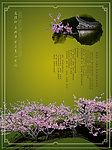 古典梅花