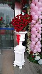 罗马花盆玫瑰花艺