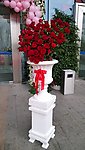 罗马花盆玫瑰花艺