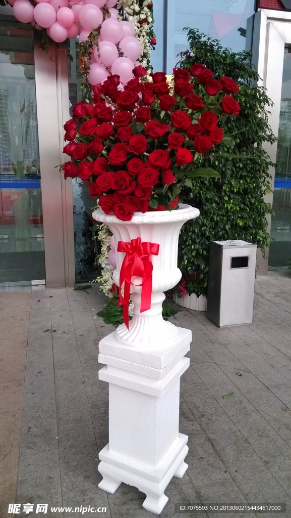 罗马花盆玫瑰花艺