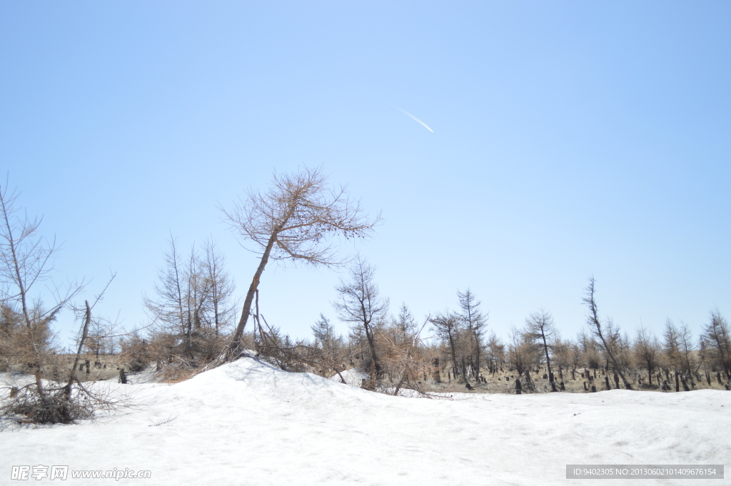 木桩 雪地