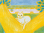 猫咪