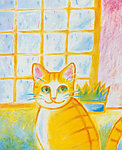 插画 手绘猫