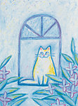 插画 猫咪