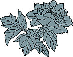 花纹