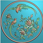 月季花