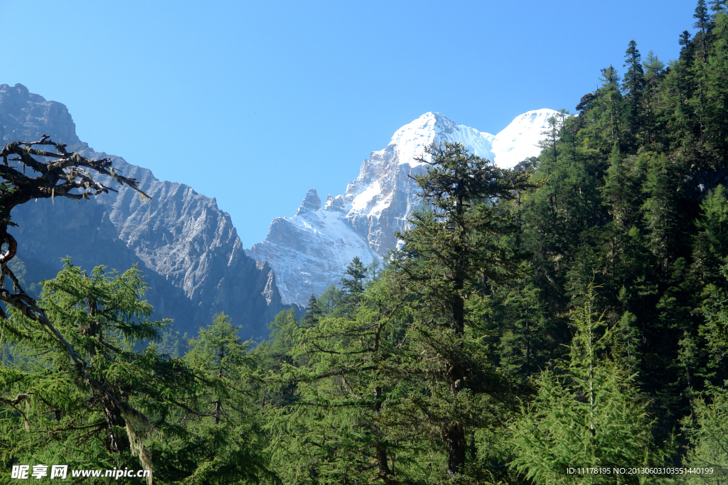 雪山 绿色树林