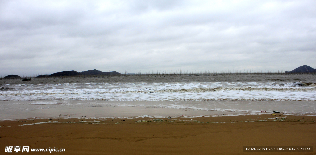 大海