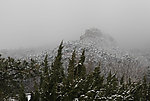 雪景