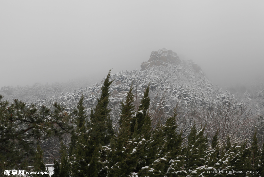 雪景