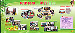 共建共享 平安校园