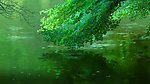 动漫风景