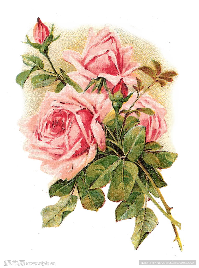 复古粉色玫瑰花