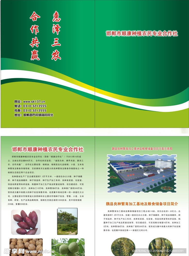 绿色宣传页