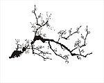 梅花