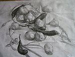 素描静物