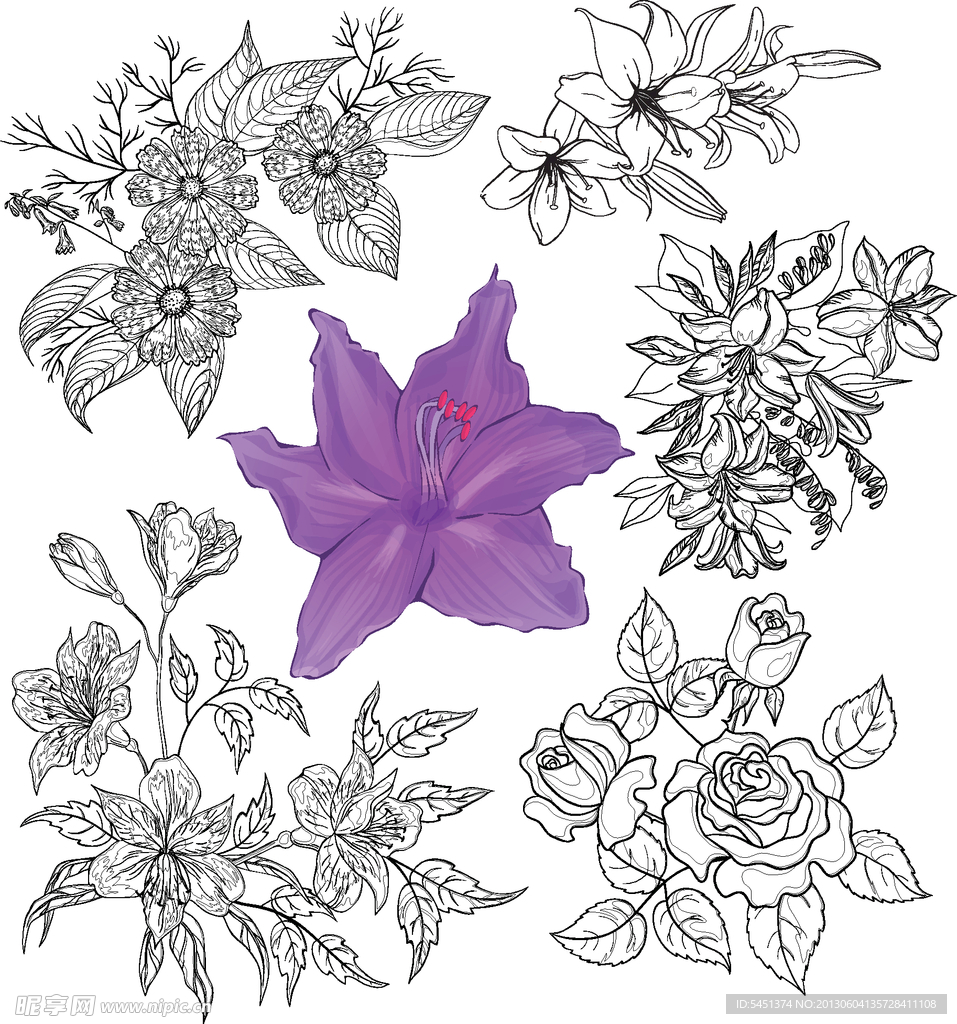 白描勾线花朵