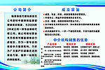 保险公司简介