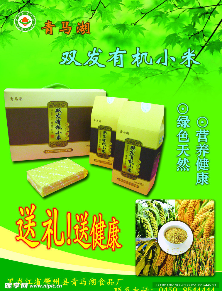 青马湖有机小米