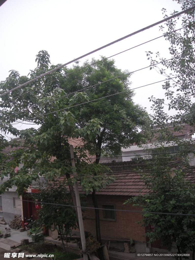 农村 砖墙
