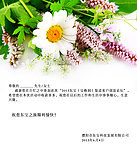 东宝门业问候卡