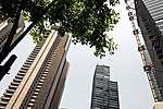 中粮海景一号