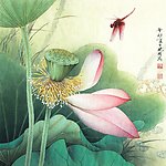 荷花小品