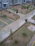 雨中的小区