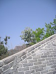 青砖墙面