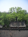 周公庙