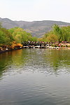 北京植物园风景
