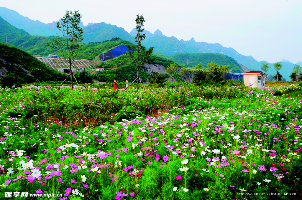 乡村美景