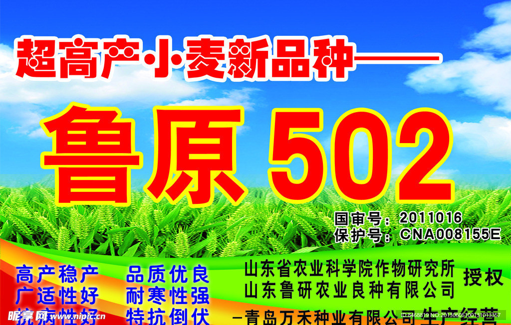 鲁原502
