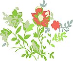 花的图片